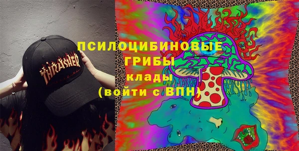 ешки Арсеньев