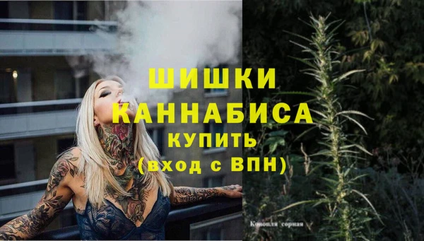ешки Арсеньев
