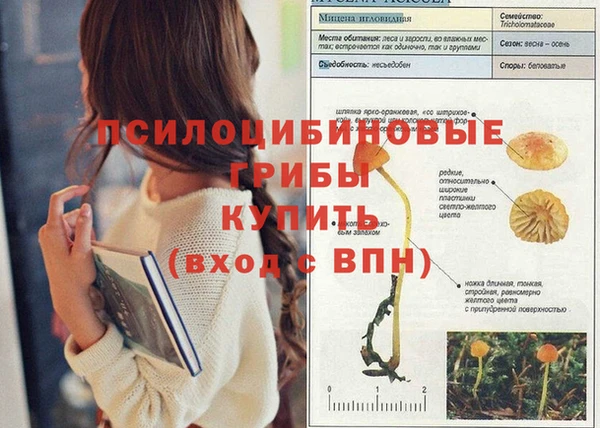 ешки Арсеньев