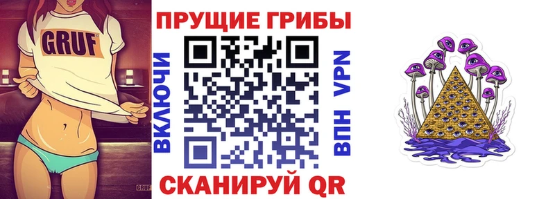 дарнет шоп  Нижняя Салда  Псилоцибиновые грибы Cubensis 